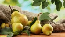 Як зварити смачне варення з груші на зиму? варення