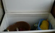Як зберігати буряки на зиму - умови, правила Відео правила