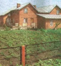 Картопля за голландською технологією - Сади Сибіру сибіру