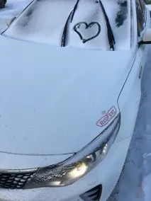 заводиться