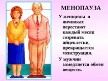 менопауза