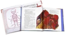 Книги для дітей Цікаві екскурсії людським тілом дітей