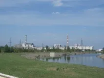 Коноплі поглинають радіацію та очищають грунт від токсичних металів. поглинають