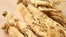 Корінь життя Жень-шень властивості та особливості корінь