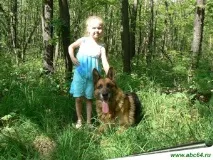 рослинного