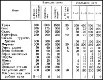 Корм для кроликів який вибрати для годування вихованців корм