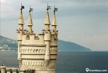 гніздо