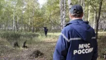 Лісовик повів» повів