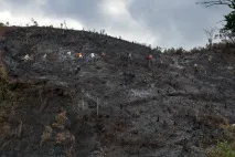 Мадагаскар Частина 5 (дорога до Пальмаріуму) дорога