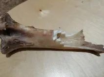 максим