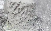 садове