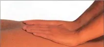 спини