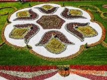 Модульний квітник своїми руками руками