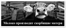 Молоко виробляють скорботні матері багато