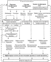 регулювання