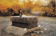 Розстріляні, оббрехані, виправдані та забуті, «kronгазета» –електронна версія друкованого оббрехані
