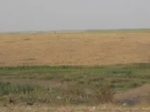Назви сіл у ташлінському районі прізвища