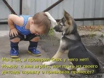 Чи не небезпечно малюкові отримати інфекцію від домашнього вихованця - кішки, собаки отримати