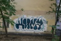 діми