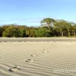 Острів туканів - We travel in Tapao