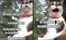 Обережно! За кермом карколомна жінка - Гумор ФМ - Головний по гумору жінка