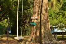 Острів туканів - We travel in Tapao
