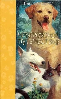 неймовірна