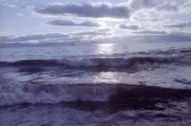 Від Антарктиди відколовся гігантський льодовик води