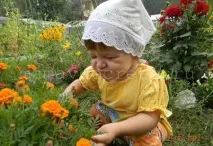 відпочинок