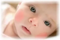 харчова