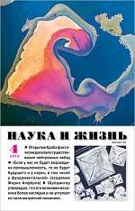 Чому кішки вибагливі в їжі, Наука і життя життя
