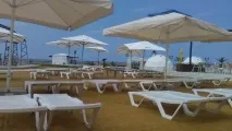 хвиля