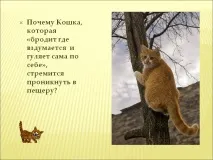 Чому Кішка, яка «блукає де заманеться і гуляє сама собою», Презентація 218584-9 блукає