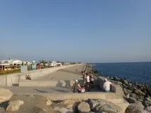 адлер