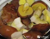 Напівбілий гриб склад, калорійність, користь, рецепти рецепти