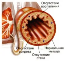 повече