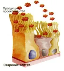 повече