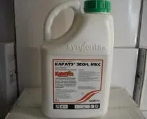 Посадка нектарину персика