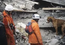 Прикмети прикметам різниця як передбачити тряску, якщо ти не сейсмолог передбачити