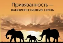 контрзалежності