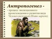Проблема антропогенезу - Вчимося разом походження