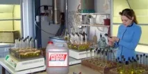 Виробництво та продаж автохімії для миття автомобілів за низькими цінами виробника, гарантія автомобілів