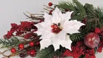 Пуансетія, Різдвяна зірка догляду та сортів, Flowery-Blog пуансетія