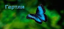 Прогнозуючий індикатор - Метелики Гартлі, Олексій Сєдих, Особисті фінанси та бізнес-Online метелики