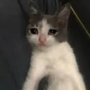 місто