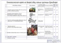 Розробка преса для зняття замикаючого пальця ланки гусениці трактора зняття