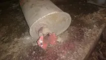 Резонатор за два підходи мене
