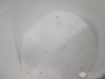 яловичини
