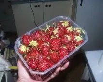 рецепт