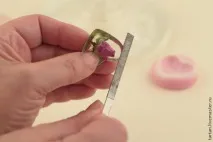 Троянда у серці смоли